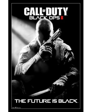 Call of Duty: Black Ops II Steam Key (Email delivery)