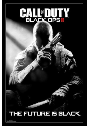 Call of Duty: Black Ops II Steam Key (Email delivery)